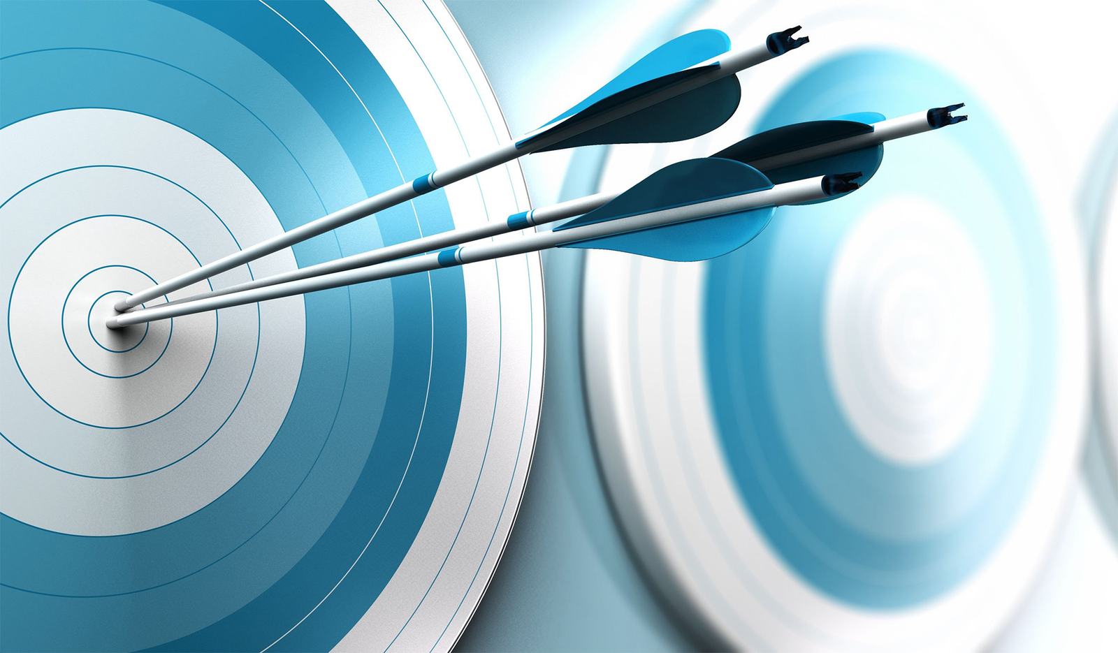 Arrows in the centre of a target – custom development of GlobalERP